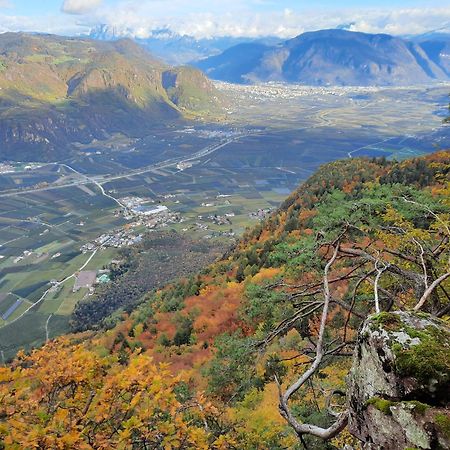 Tinnerhof Appiano Sulla Strada Del Vino Kültér fotó