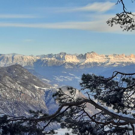 Tinnerhof Appiano Sulla Strada Del Vino Kültér fotó