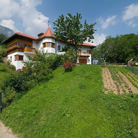 Tinnerhof Appiano Sulla Strada Del Vino Kültér fotó