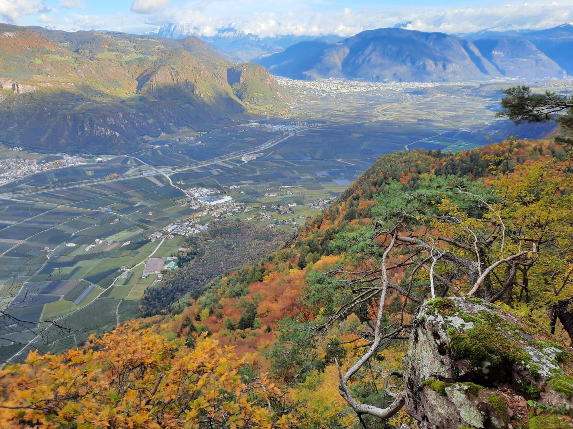 Tinnerhof Appiano Sulla Strada Del Vino Kültér fotó