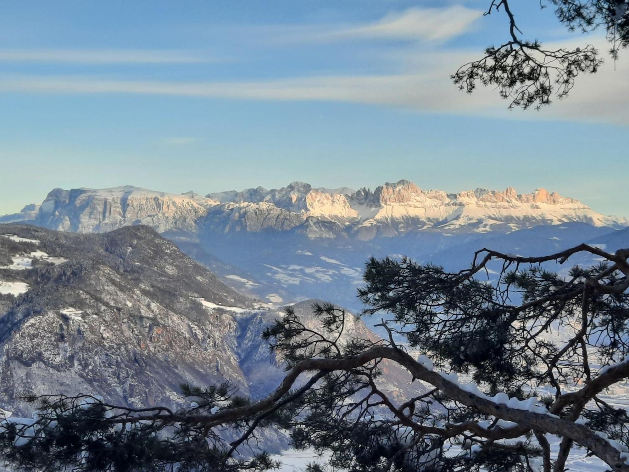 Tinnerhof Appiano Sulla Strada Del Vino Kültér fotó