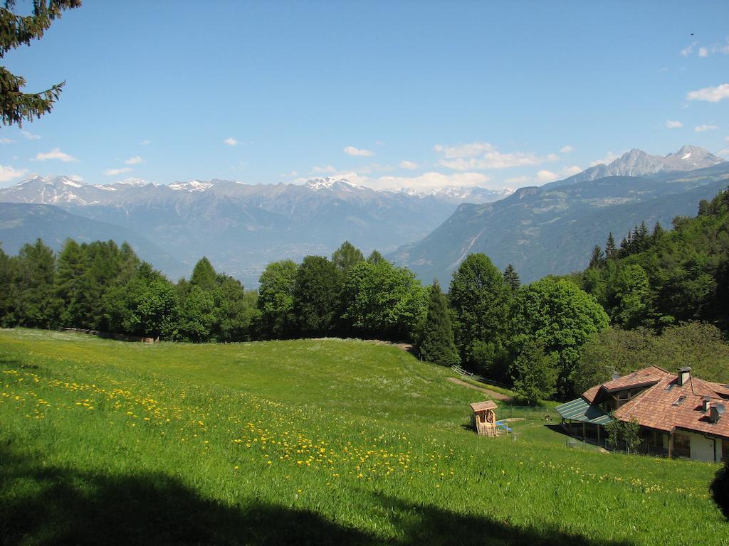 Tinnerhof Appiano Sulla Strada Del Vino Kültér fotó