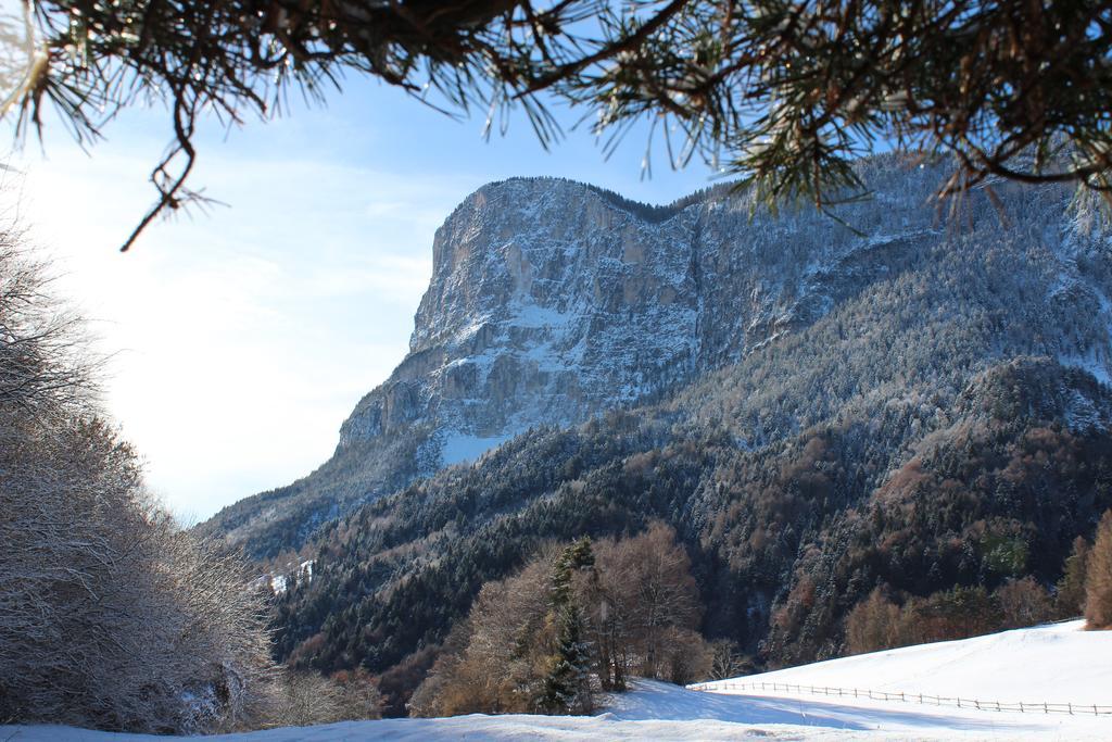 Tinnerhof Appiano Sulla Strada Del Vino Kültér fotó