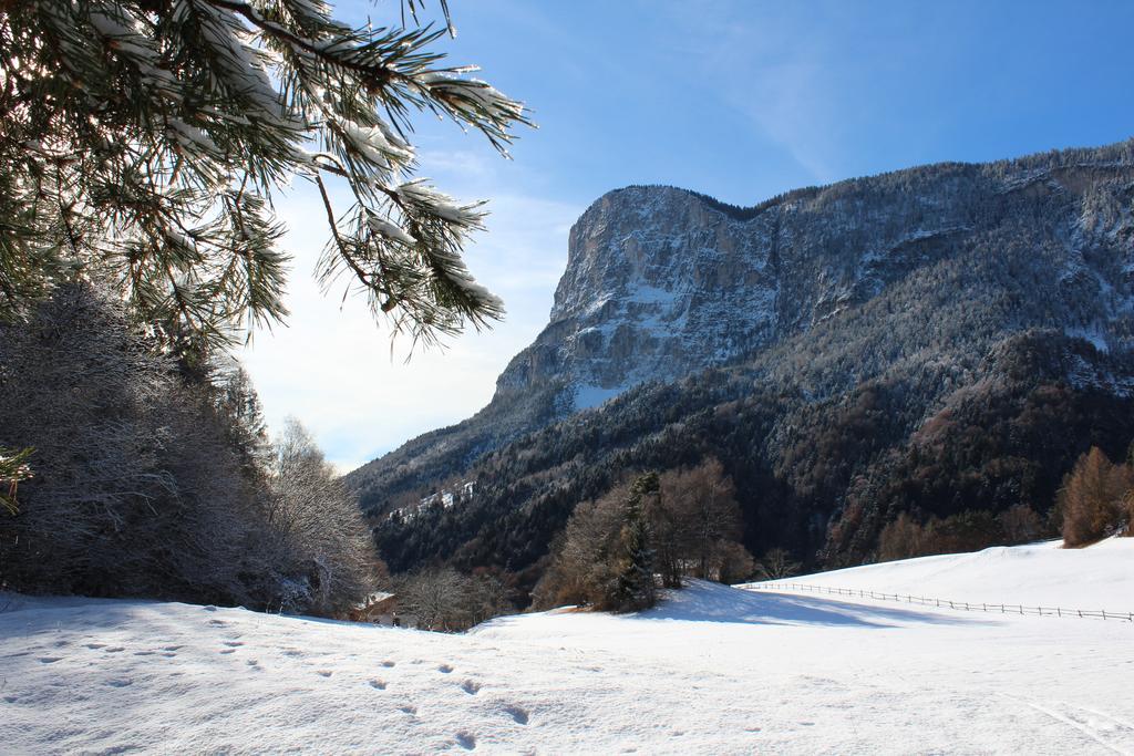 Tinnerhof Appiano Sulla Strada Del Vino Kültér fotó