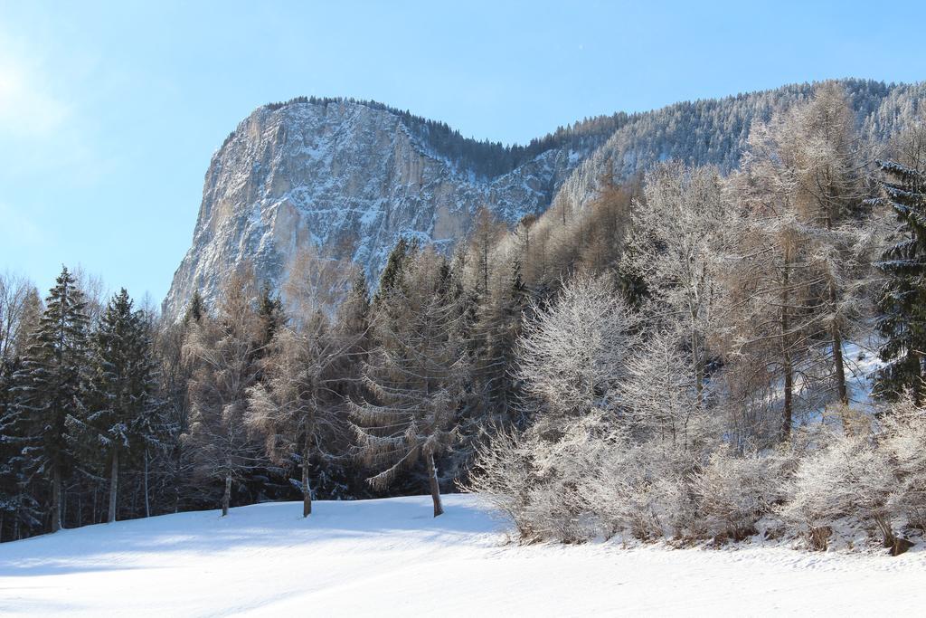 Tinnerhof Appiano Sulla Strada Del Vino Kültér fotó