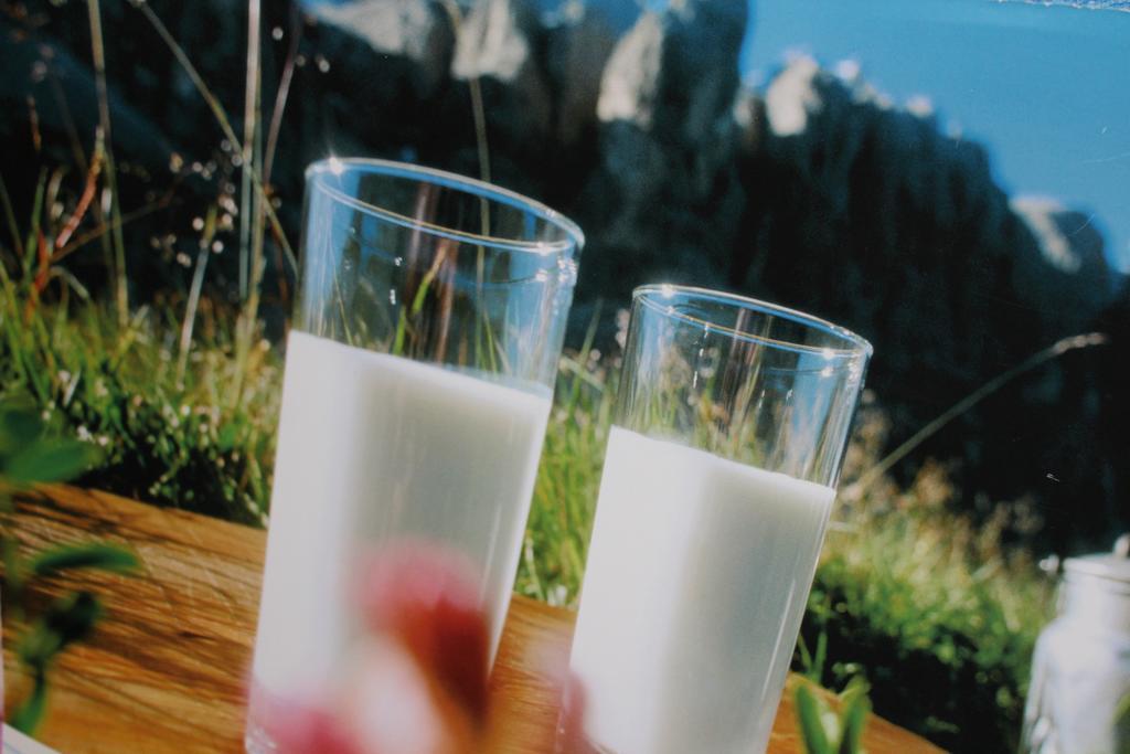Tinnerhof Appiano Sulla Strada Del Vino Kültér fotó