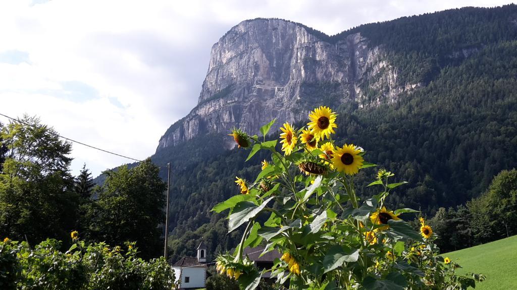 Tinnerhof Appiano Sulla Strada Del Vino Kültér fotó