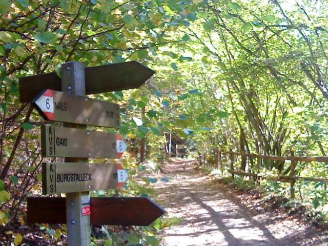 Tinnerhof Appiano Sulla Strada Del Vino Kültér fotó