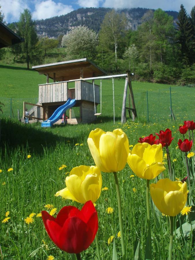 Tinnerhof Appiano Sulla Strada Del Vino Kültér fotó